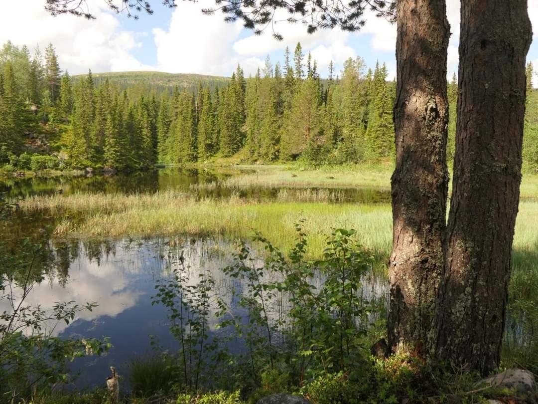 Villa Fregn Ljordal Экстерьер фото